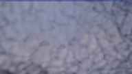 20231212_162002.jpg 