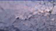 20231213_064002.jpg 