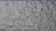 20231215_114002.jpg 