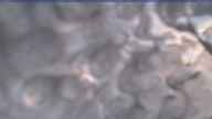 20231230_064002.jpg 