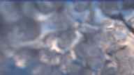 20231230_074001.jpg 