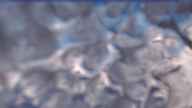 20231230_084002.jpg 