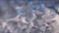 20231230_090002.jpg 