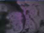20231231_170002-1.jpg 