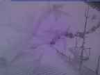 20240103_170001-1.jpg 