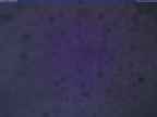 20240104_064001-1.jpg 