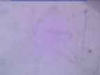 20240104_074002-1.jpg 