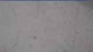 20240104_084002.jpg 