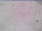 20240104_094002-1.jpg 