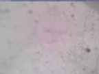 20240104_100002-1.jpg 