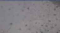 20240104_104002.jpg 
