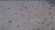 20240104_110002.jpg 