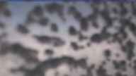 20240108_142002.jpg 