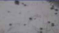 20240109_144002.jpg 