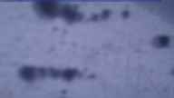 20240109_170002.jpg 