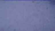 20240112_064002.jpg 