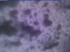 20240113_170002-1.jpg 