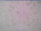 20240115_144002-1.jpg 