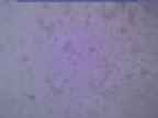 20240115_170002-1.jpg 