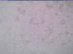 20240116_090002-1.jpg 