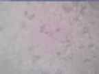 20240116_134001-1.jpg 