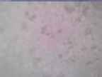 20240116_140001-1.jpg 