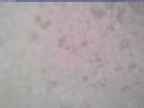 20240116_142002-1.jpg 