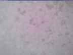 20240116_144001-1.jpg 