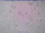 20240116_150002-1.jpg 