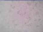20240116_154001-1.jpg 