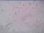 20240118_090002-1.jpg 