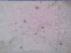 20240118_102002-1.jpg 