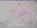 20240118_104002-1.jpg 
