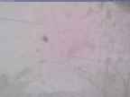 20240118_110001-1.jpg 