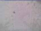 20240118_112001-1.jpg 