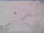 20240118_114001-1.jpg 