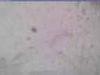 20240118_130001-1.jpg 