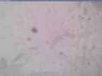 20240118_134002-1.jpg 
