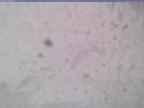 20240118_142002-1.jpg 
