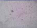 20240118_144002-1.jpg 