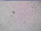 20240118_150002-1.jpg 
