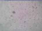 20240118_152002-1.jpg 