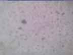 20240118_154001-1.jpg 