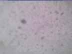 20240118_160002-1.jpg 