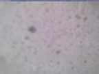 20240118_162001-1.jpg 
