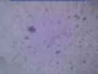 20240118_164002-1.jpg 