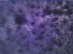 20240119_064001-1.jpg 