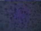 20240120_172002-1.jpg 