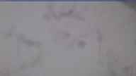 20240124_084002.jpg 