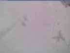 20240124_132001-1.jpg 